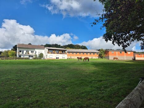 Haus und Pferdeweide, ruhige Lage im Grünen Haus und Pferdeweide, ruhige Lage im Grünen