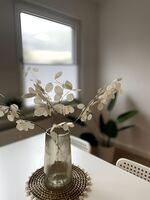 Zentral wohnen in ruhiger Lage! MA2R Bild 7 Zentral wohnen in ruhiger Lage! MA2R Bild 7