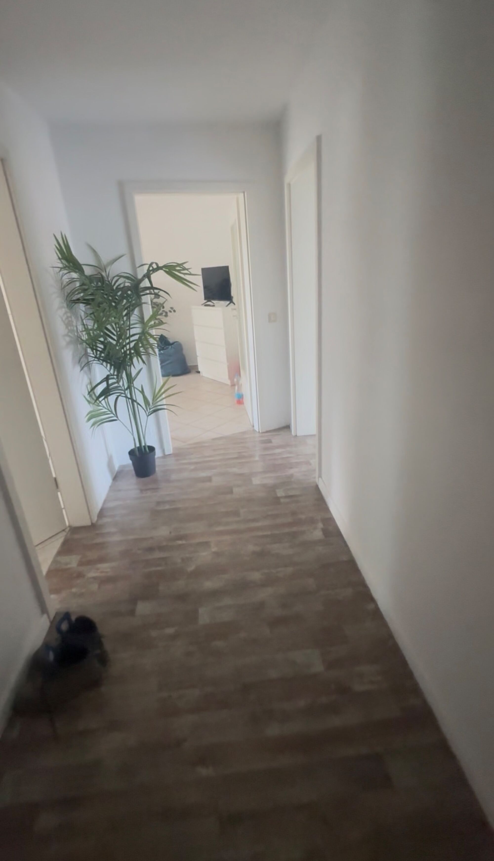 Bild 5 Bild 5