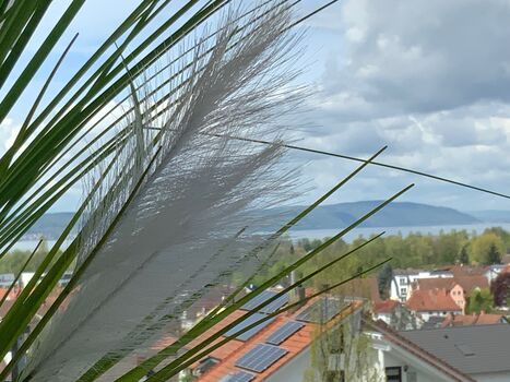 Wohnung Nowraty Bild 1 Wohnung Nowraty Bild 1