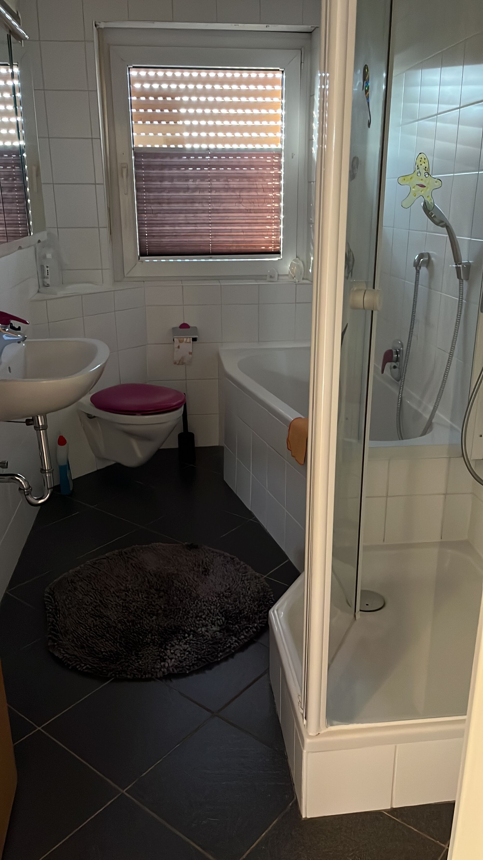 Bild 5 Bild 5