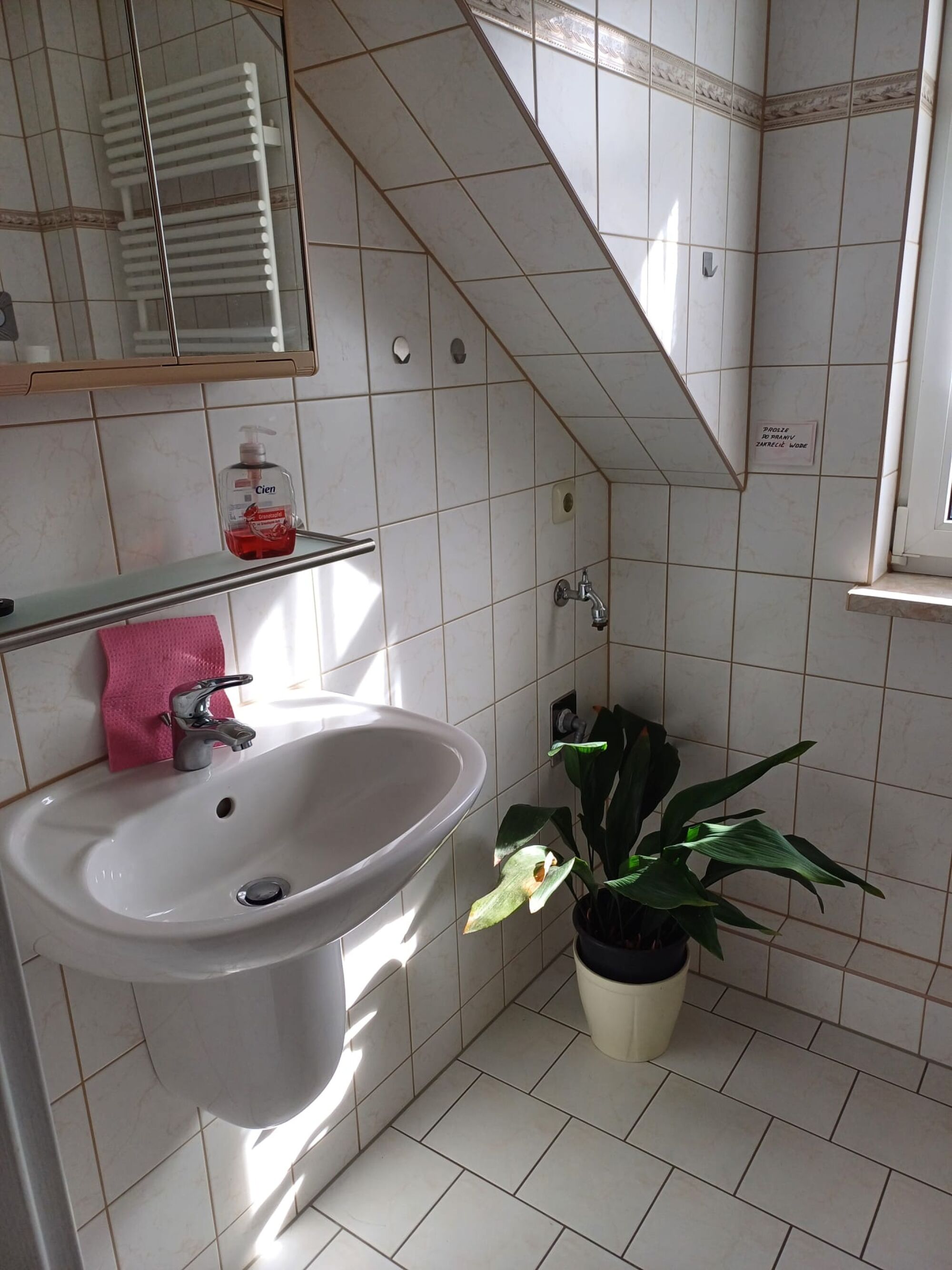 Bild 5 Bild 5