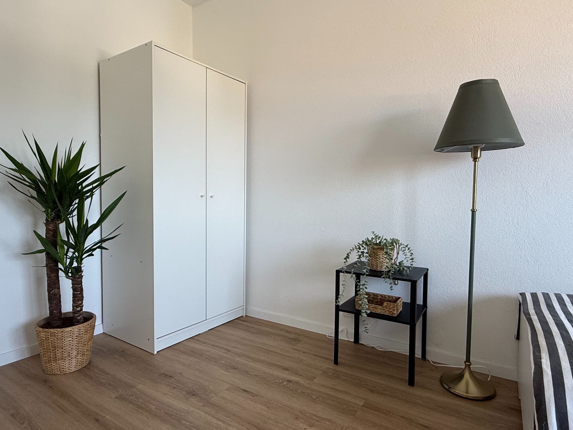Bild 5 Bild 5