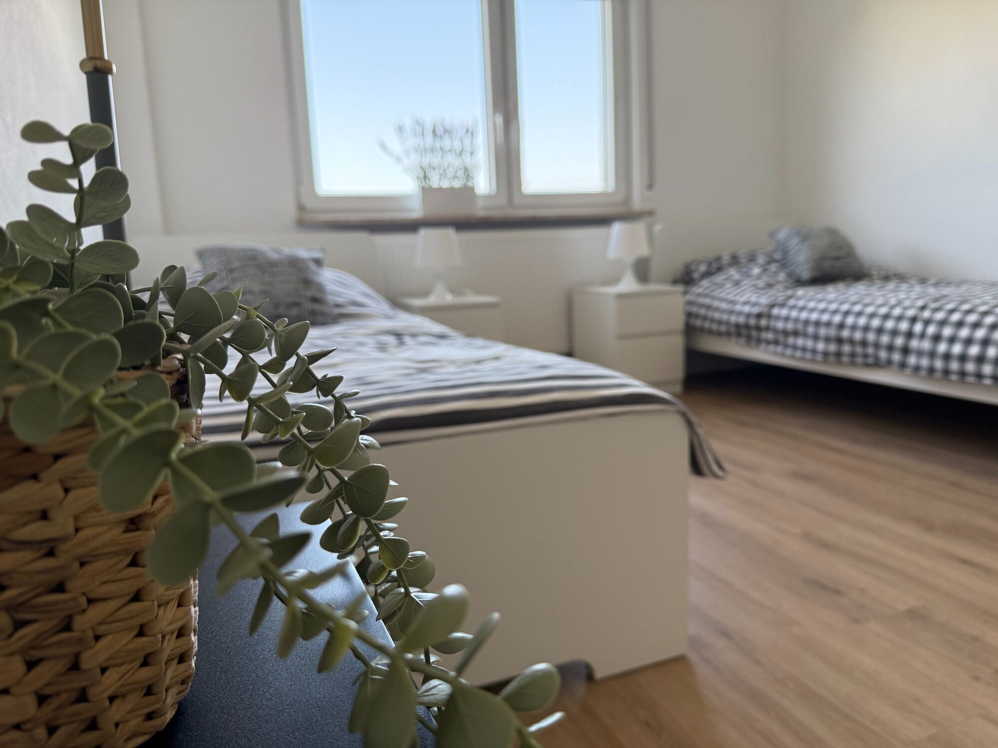Bild 4 Bild 4