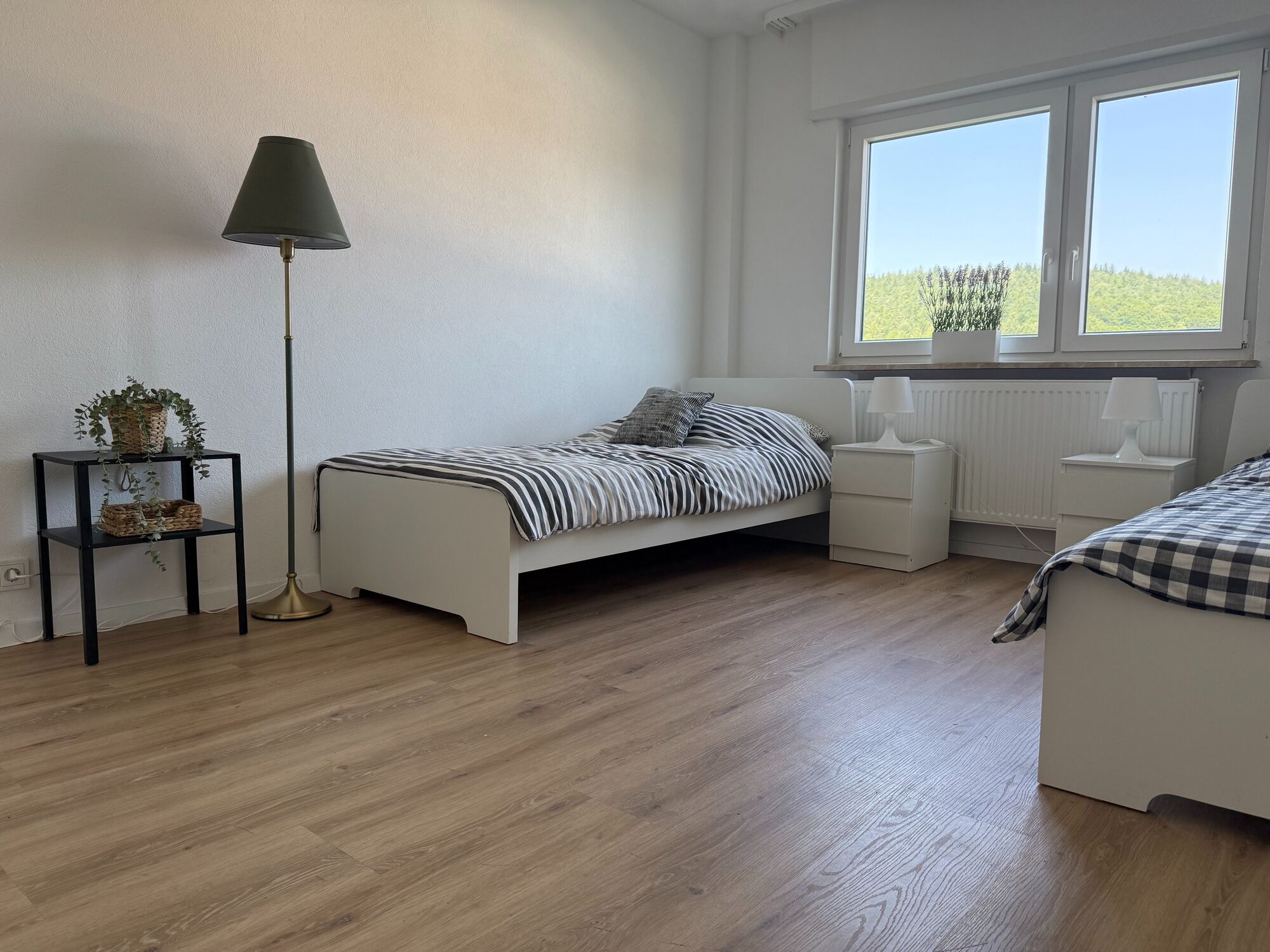 Bild 2 Bild 2