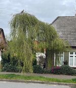 Hus Anna Bild 1 Hus Anna Bild 1