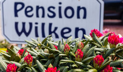 Pension Wilken Picture 20 Pension Wilken Picture 20