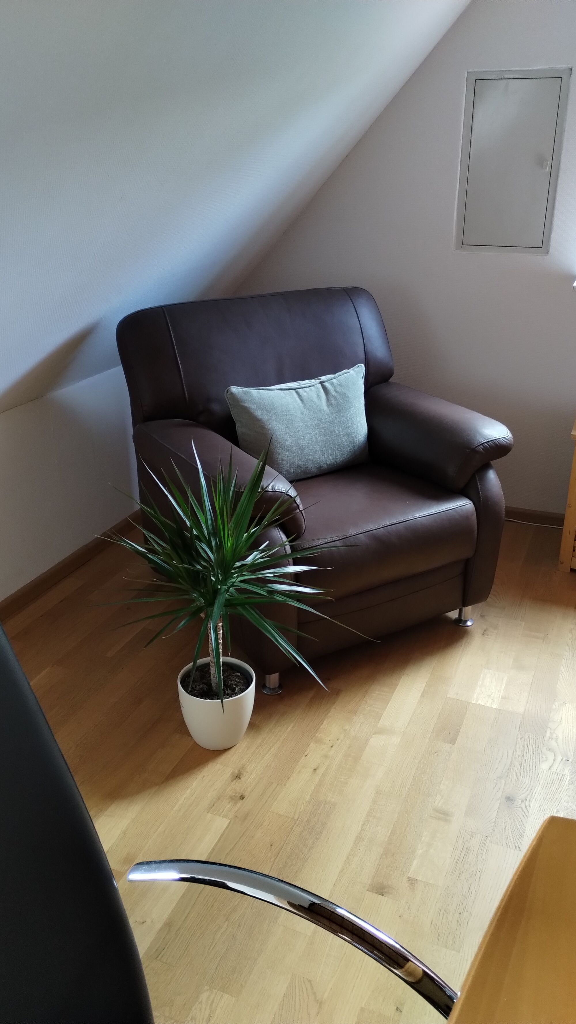 Bild 5 Bild 5