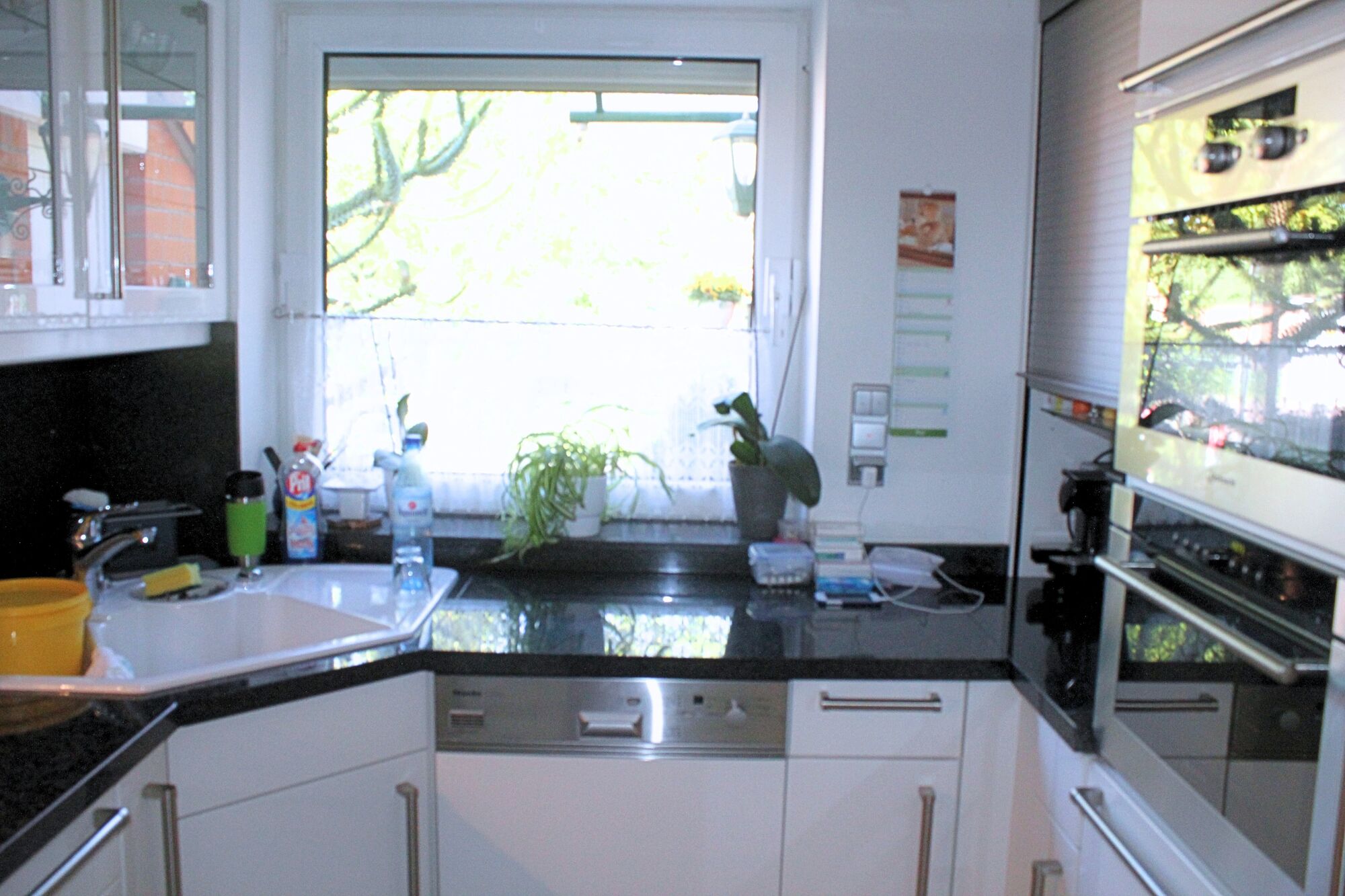 Bild 5 Bild 5