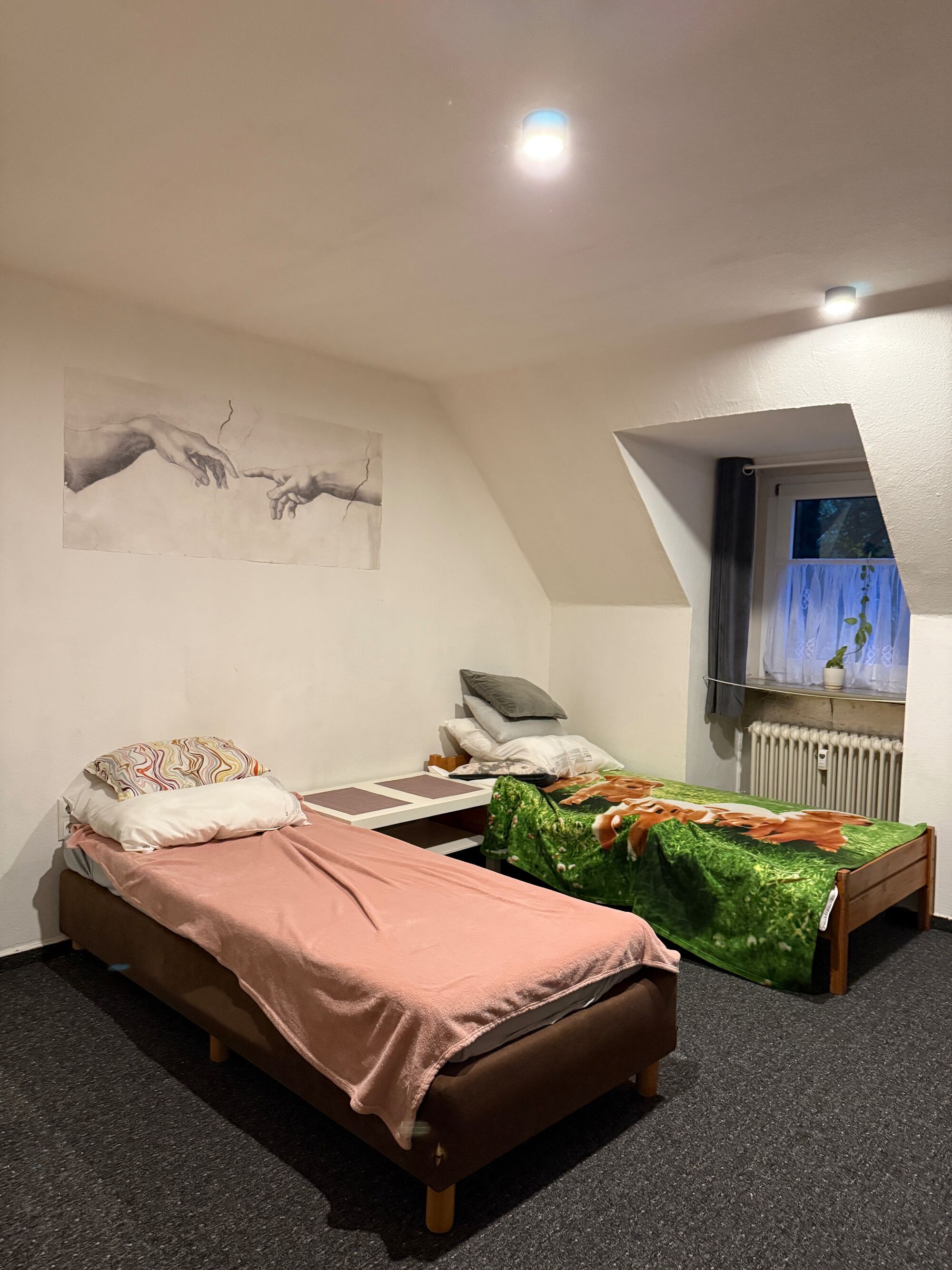 Bild 1 Bild 1