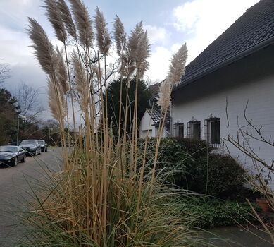 Vorgarten mit Möglichkeit zum Rauchen Vorgarten mit Möglichkeit zum Rauchen