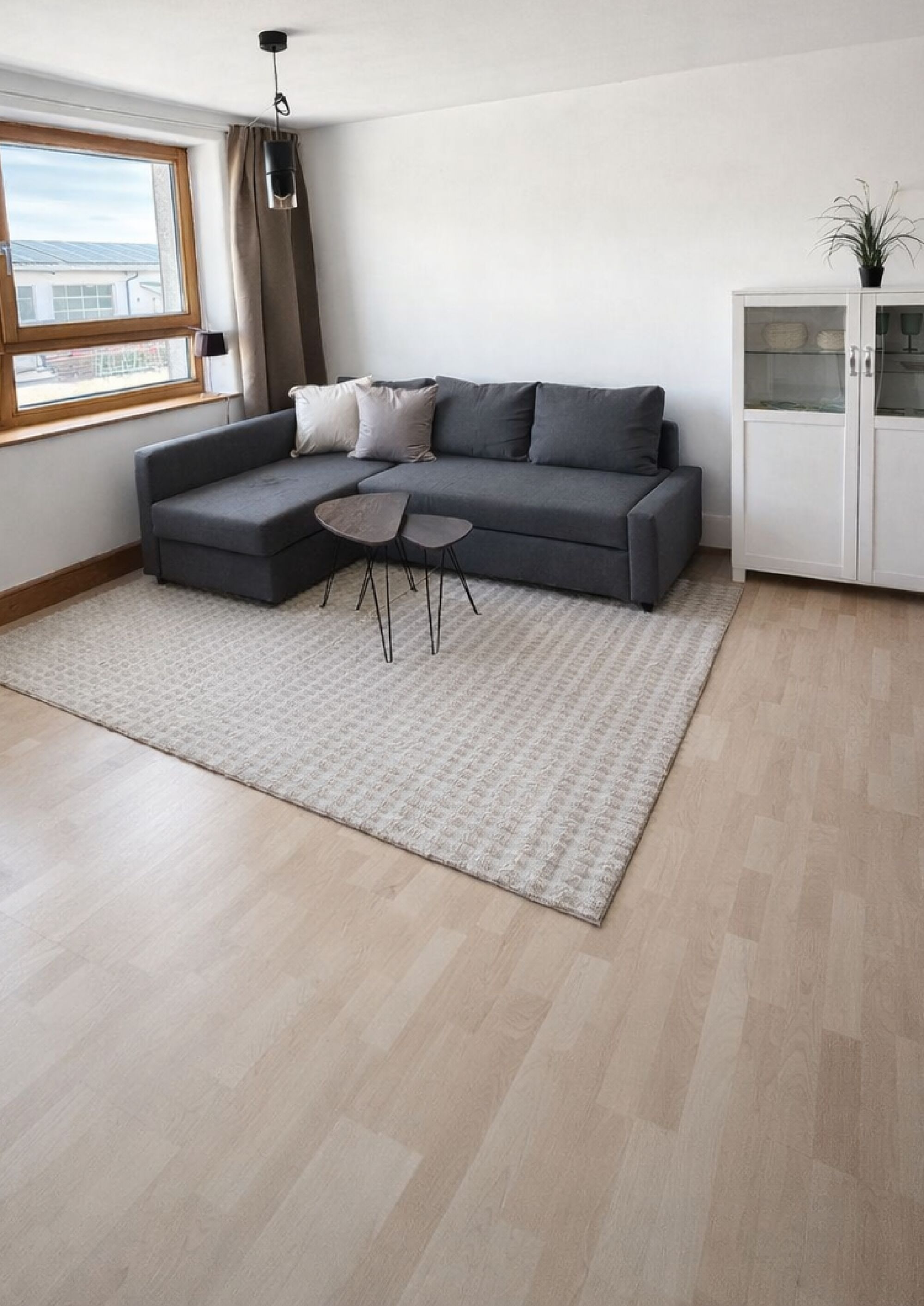 Wohnbereich mit Schlafcouch und TV Wohnbereich mit Schlafcouch und TV