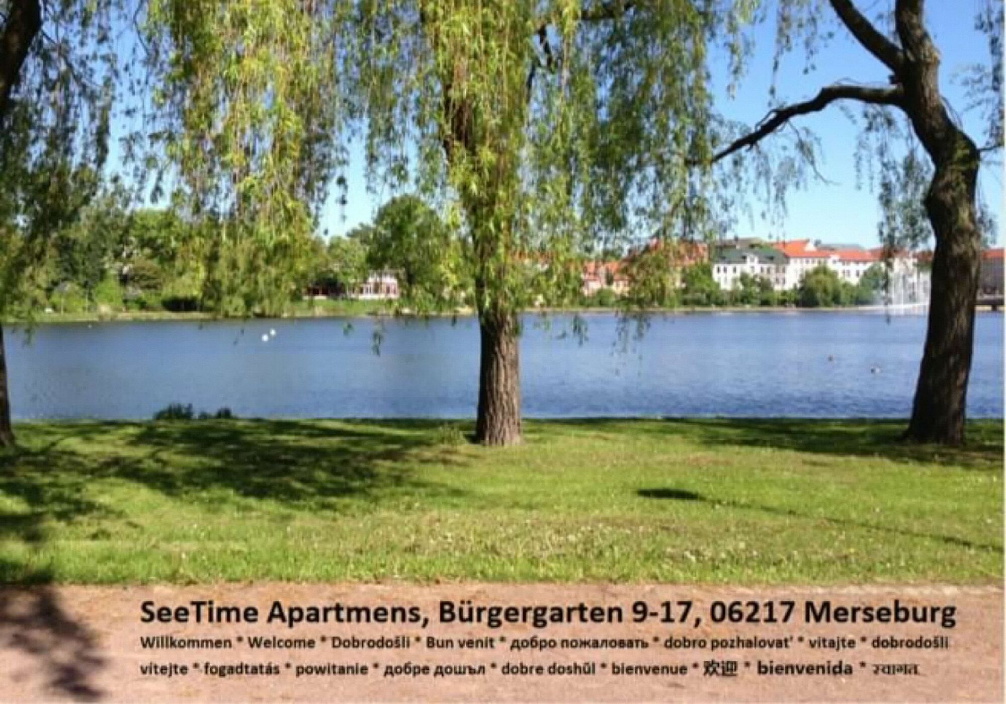 Bild 4 Bild 4