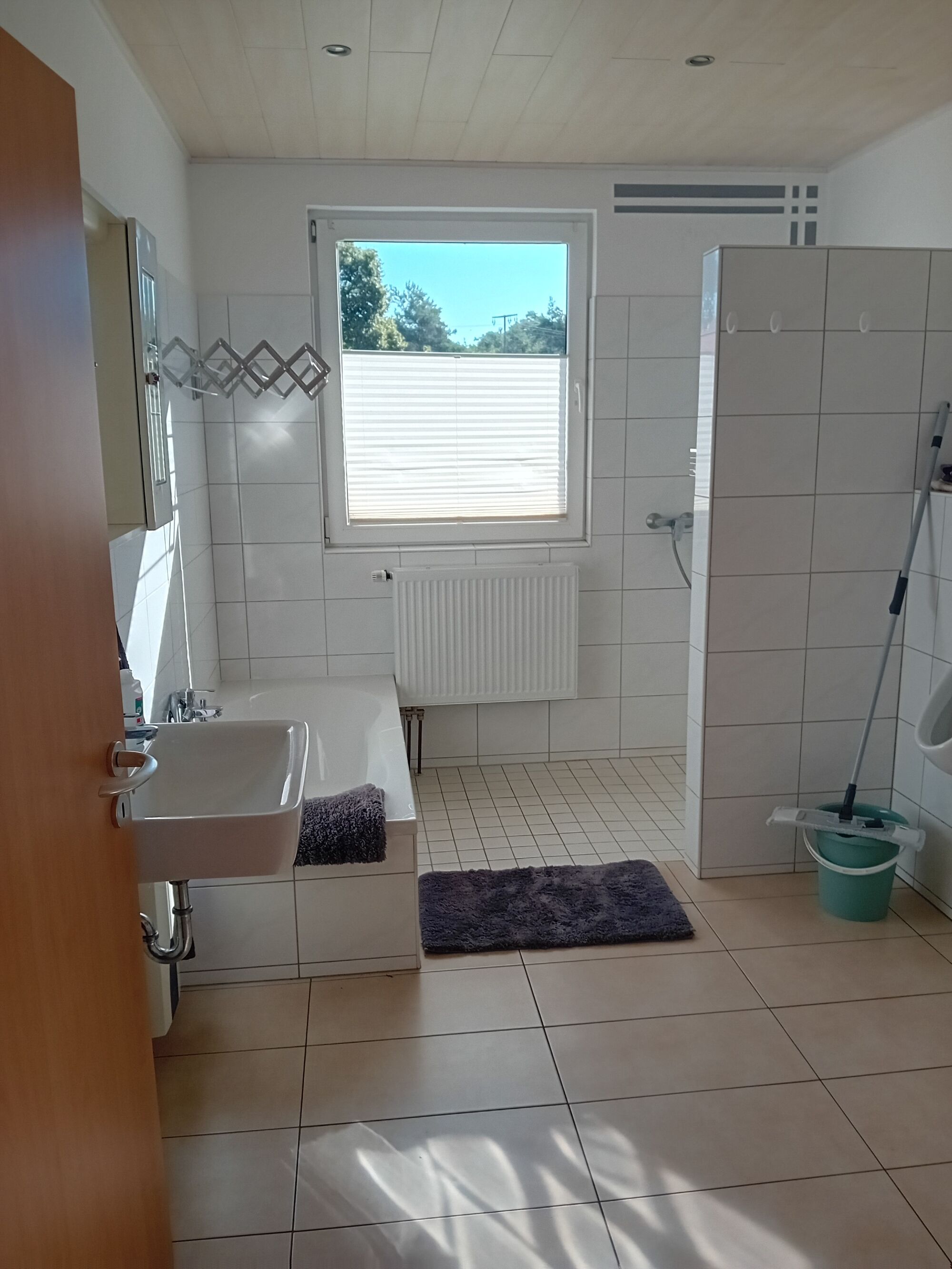 Bild 5 Bild 5