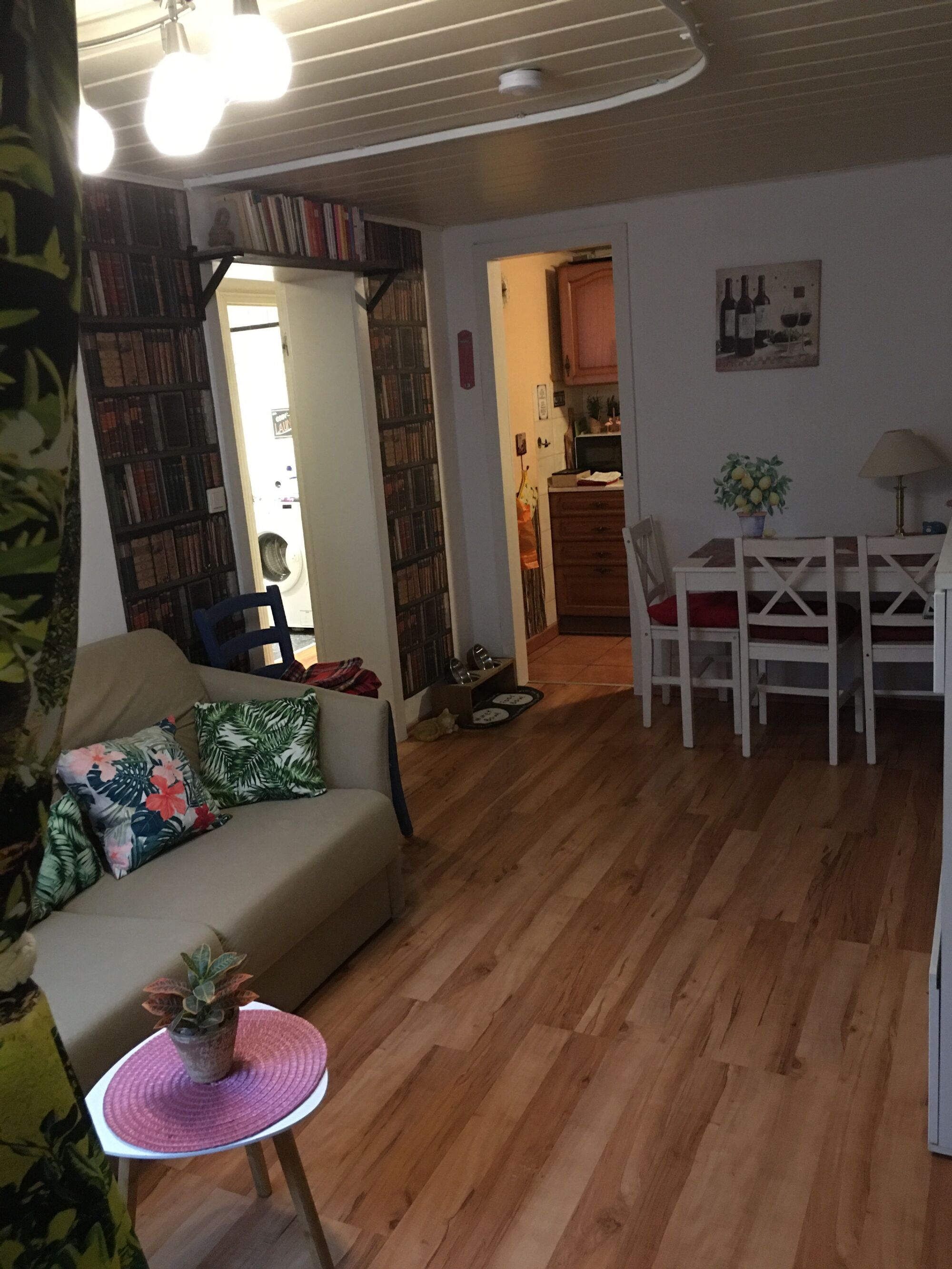 Wohn-Essbereich mit (Schlaf-) Couch Wohn-Essbereich mit (Schlaf-) Couch