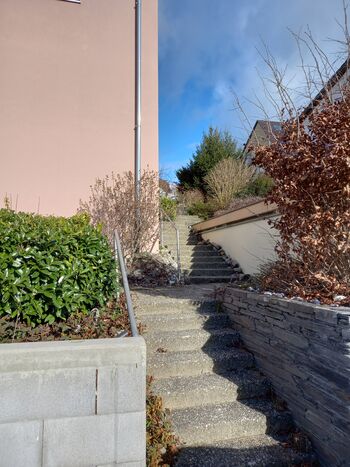 Gina DG Bild 2 Gina DG Bild 2