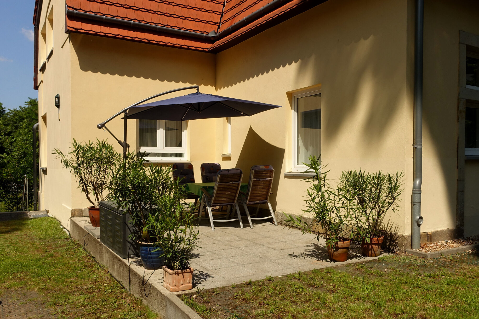 Bild 5 Bild 5