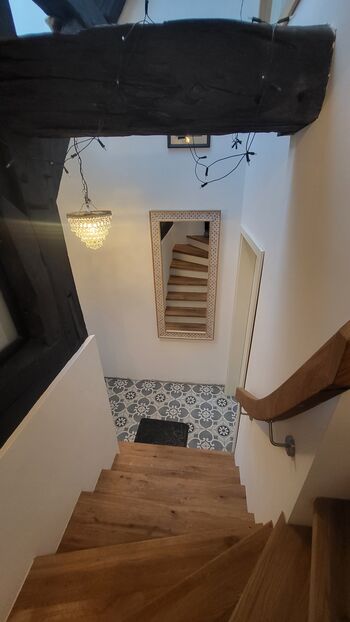 Eulennest Bild 3 Eulennest Bild 3