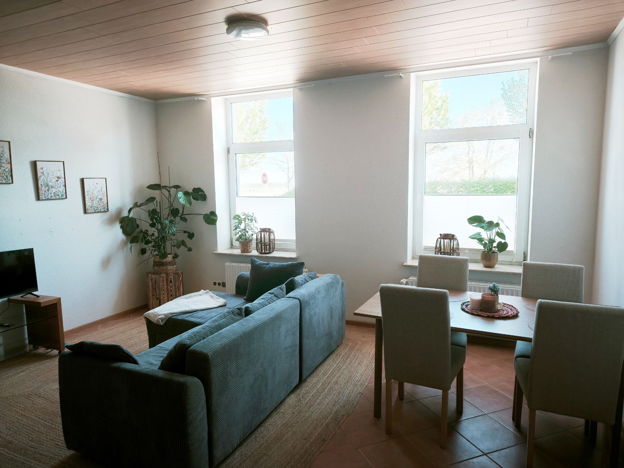 Bild 5 Bild 5