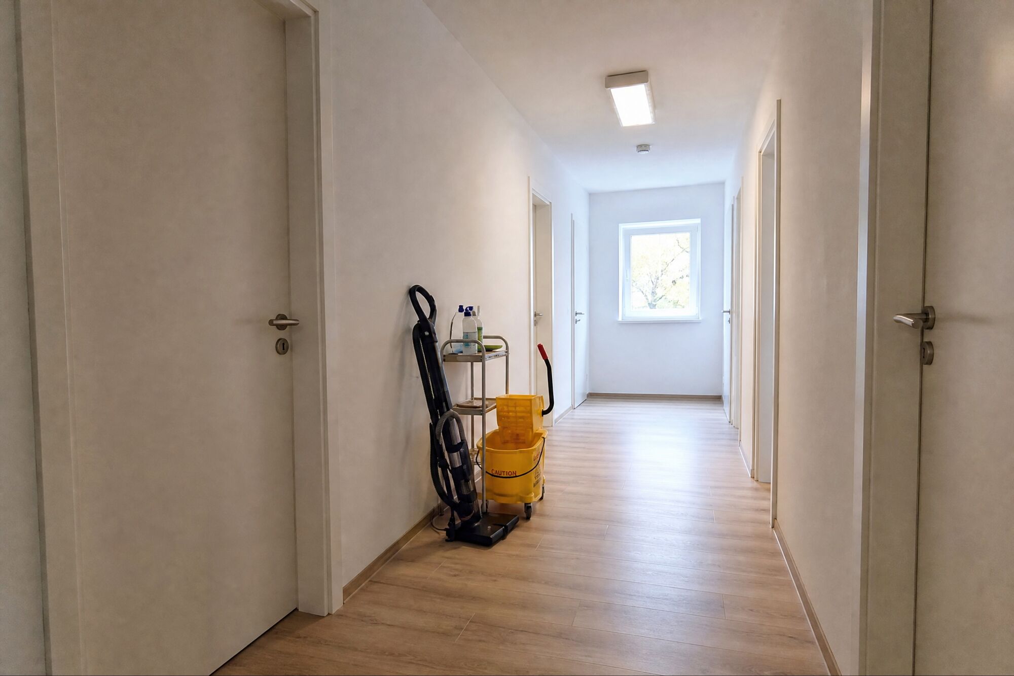 Bild 5 Bild 5