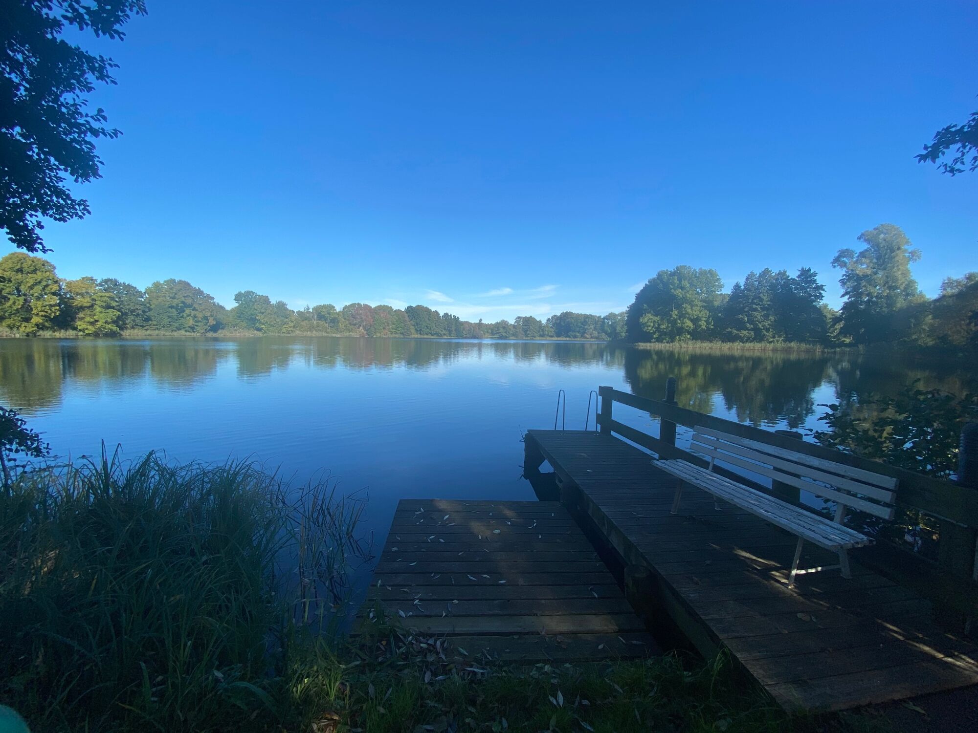 Bild 5 Bild 5