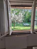 Gästezimmer gutbürgerlich Bild 2 Gästezimmer gutbürgerlich Bild 2