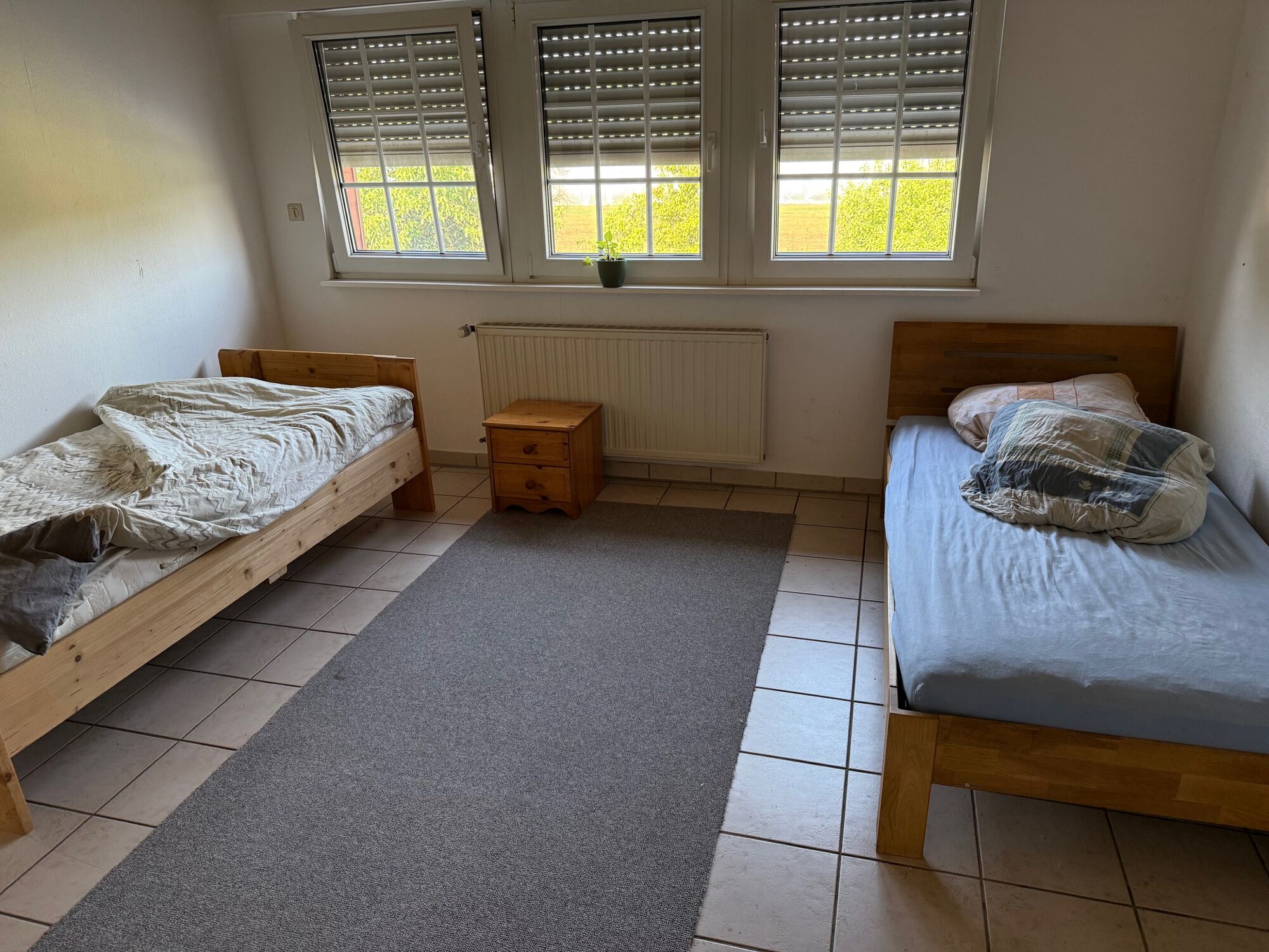 Bild 5 Bild 5