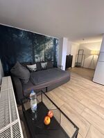 Wohnung Schiteanu Bild 2 Wohnung Schiteanu Bild 2