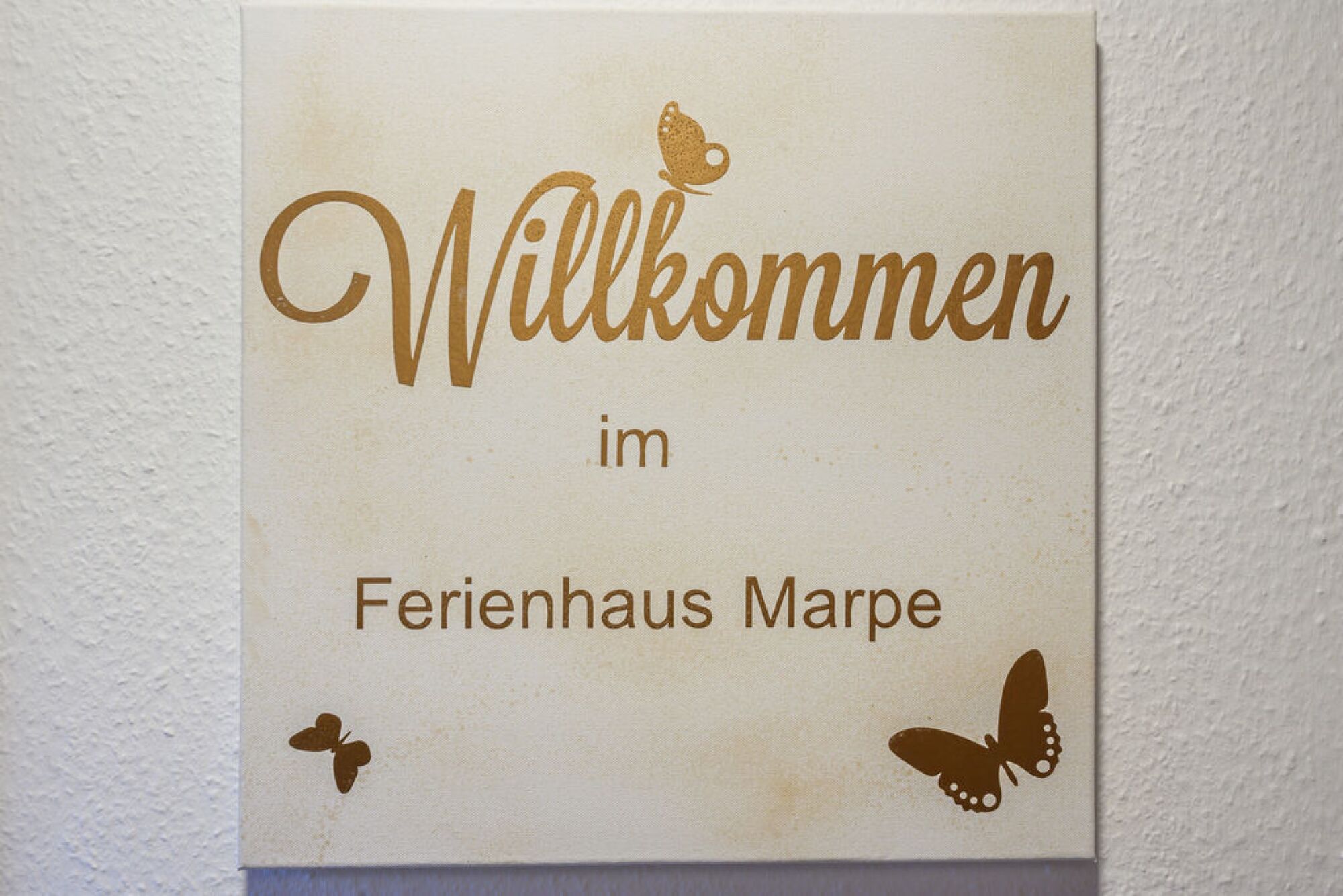 Bild 3 Bild 3