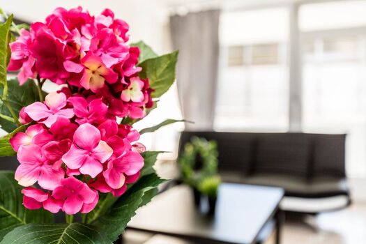 HomeRent in Monheim, Langenfeld und Hilden Bild 1 HomeRent in Monheim, Langenfeld und Hilden Bild 1