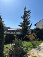 Aussicht - Apartment mit Terrasse Aussicht - Apartment mit Terrasse