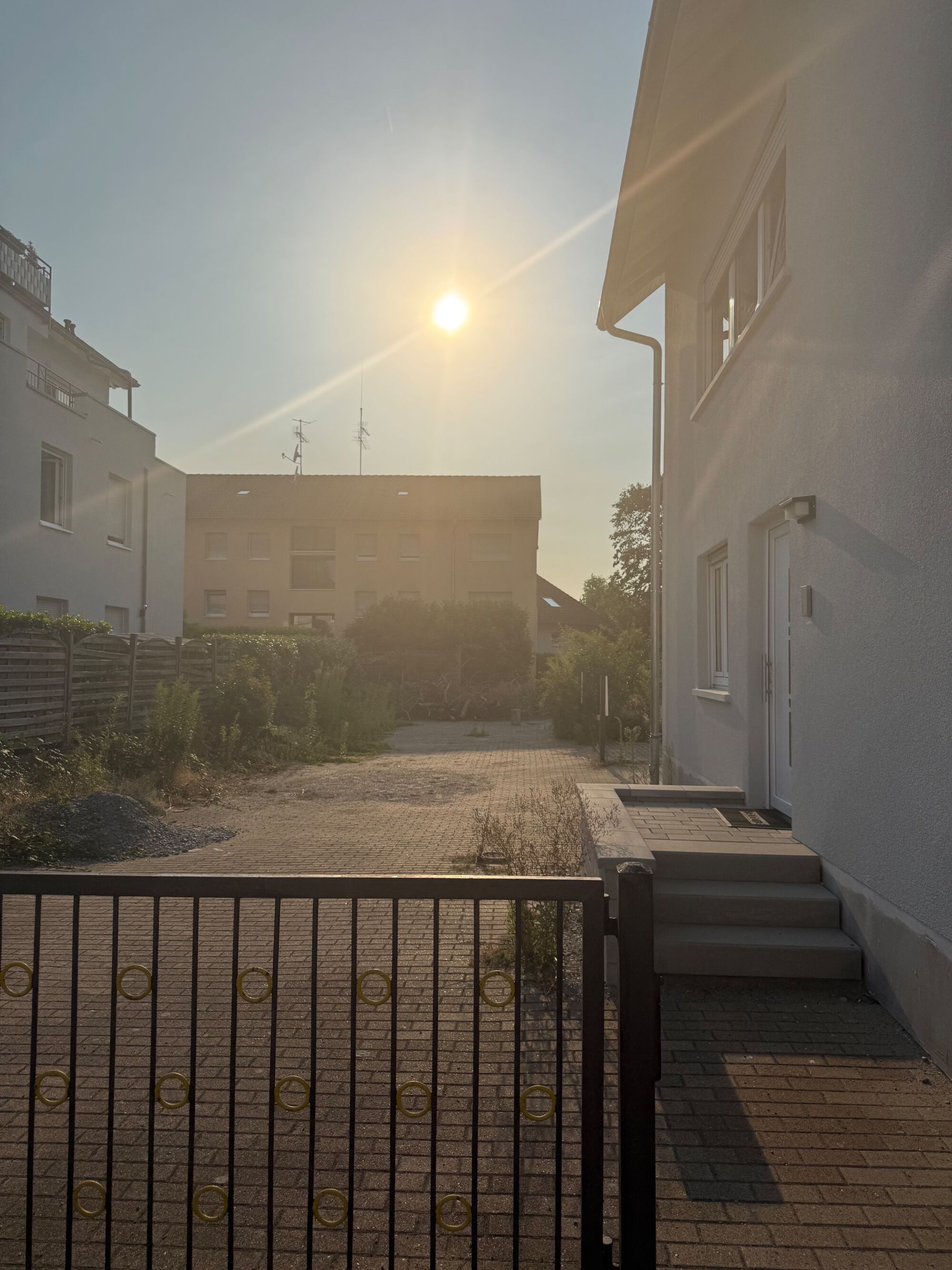 Bild 1 Bild 1
