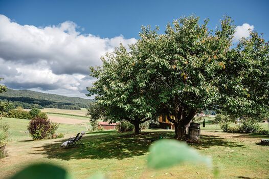 Herrlich großer Garten mit Weitblick!