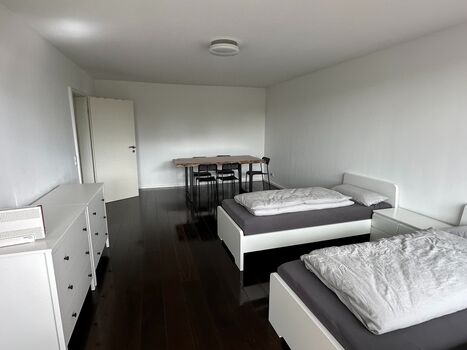 Holiday apartment in Frankfurt am Main Picture 2