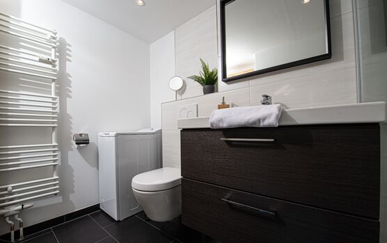 Das moderne Badezimmer mit eigener Toplader Waschmaschine