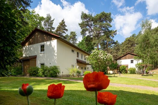 Wohnung IDA Arendsee Bild 1