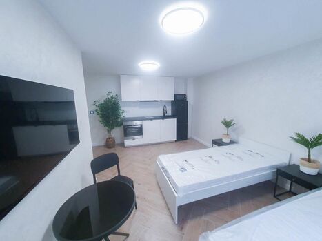 ALFA APARTMENTS / Stuttgart Bosch/Porsche - SOFORT VERFÜGBAR Foto 2