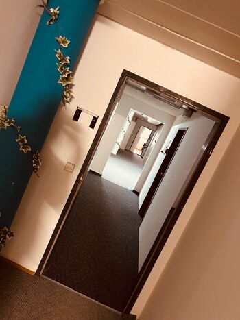 V Apartments Picture 4