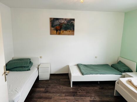 Gemütliches Apartment in Aschaffenburg Bild 3