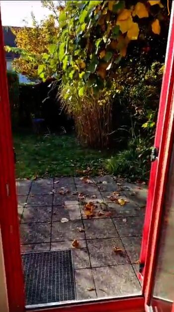 Ausgang zum Garten.