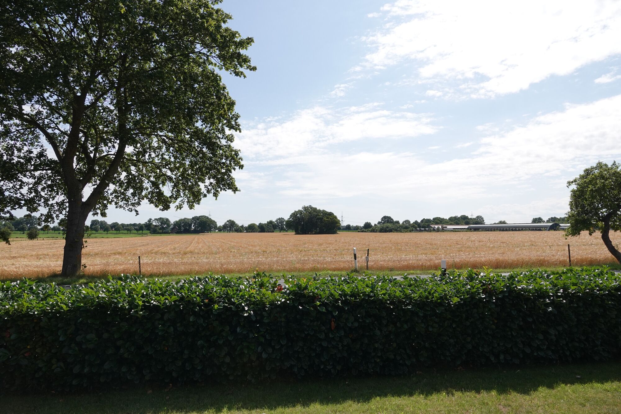 Ausblick