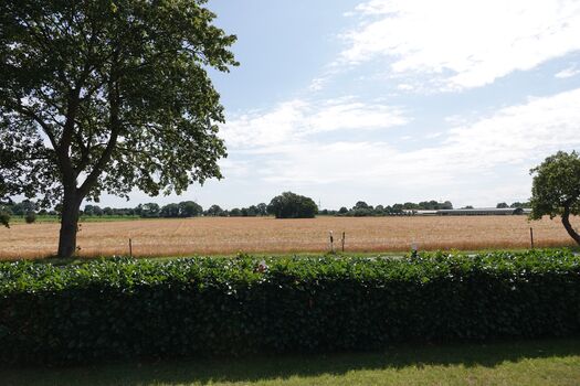 Ausblick