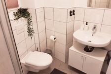 HomeRent in Magdeburg Bild 7