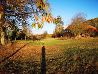 Fewo Rundum Natur Picture 12
