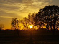 Fewo Rundum Natur Picture 11