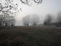 Fewo Rundum Natur Picture 15