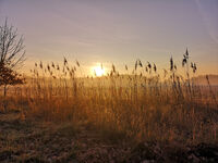 Fewo Rundum Natur Picture 14