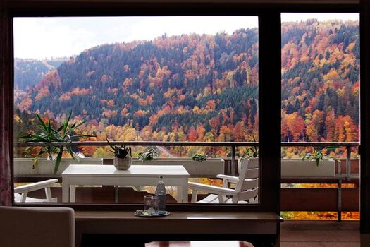 Waldhotel Post Bad Liebenzell Bild 2