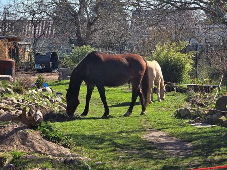 Ferienwohnung in Burg (bei Magdeburg) Bild 1