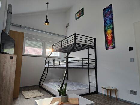 Holiday apartment in Burg (bei Magdeburg) Picture 4